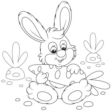 Bunny havuç ile