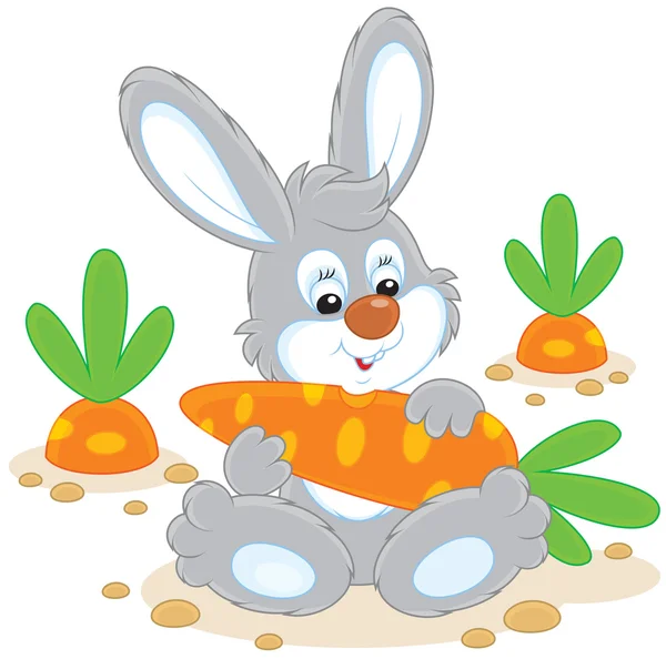 Кролик с морковкой — стоковый вектор