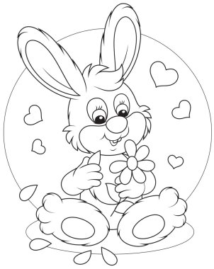 Papatya ile sevgi dolu bunny
