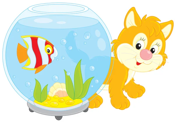 Кошеня грає з акваріумною рибою — стоковий вектор