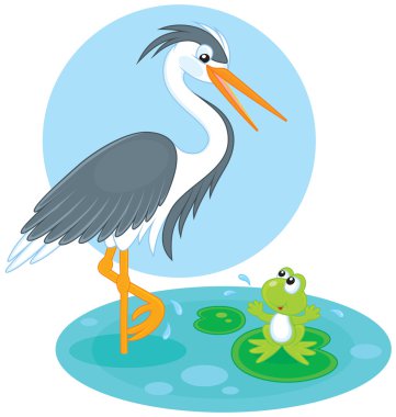 Heron ve kurbağa