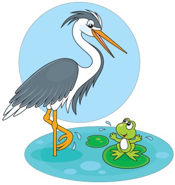 Heron ve kurbağa
