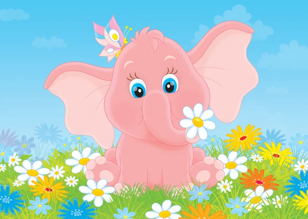Little elephant with flowers — Stock Photo, Image