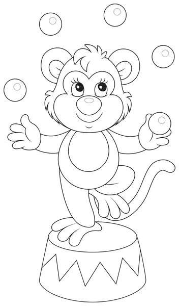 Circus monkey — Stock Vector