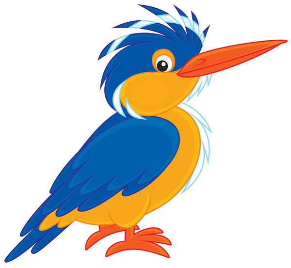 Kingfisher — Stok Vektör