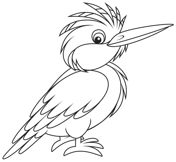 Kingfisher — Stock Vector
