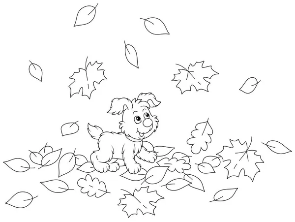 Roztomilé Malé Štěně Chůzi Podzim Listí Kolem Parku Černobílé Obrysy — Stockový vektor