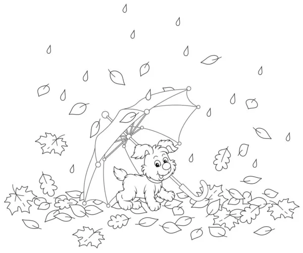 Merry Little Pup Toy Umbrella Fallen Autumn Leaves Park Rainy — Stock Vector