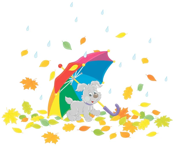 雨の日に公園に秋の葉の間でカラフルなおもちゃの傘の下でメリー小さな子犬 白い背景に隔離されたベクトル漫画のイラスト — ストックベクタ