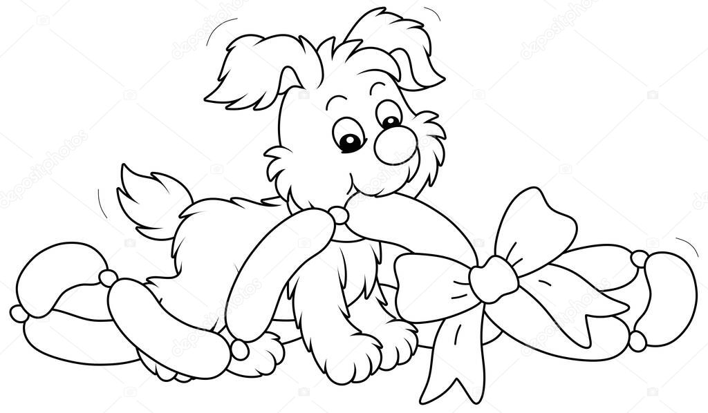 Little playful puppy glutton and tasty gift sausages decorated with a bow for its first birthday, black and white outline vector cartoon illustration for a coloring book page