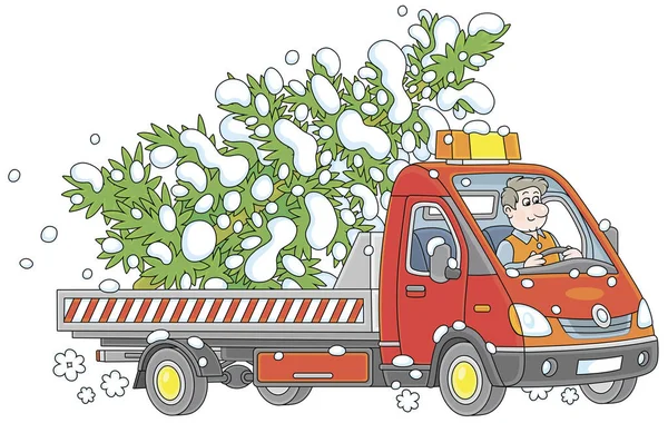 Αστείος Οδηγός Ένα Μικρό Φορτηγό Μεταφέρουν Ένα Χιονισμένο Χριστουγεννιάτικο Δέντρο Εικονογράφηση Αρχείου