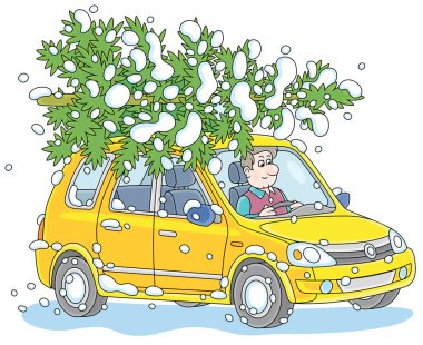 Mutlu kış tatilleri için yeşil karlı bir Noel ağacı taşıyan sevimli sarı bir arabada komik bir sürücü. Beyaz arka planda vektör karikatür çizimi.