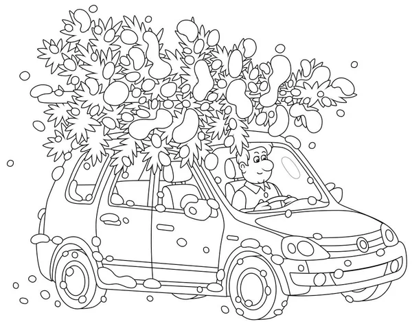 カラフルな本のページのための陽気な冬の休日 黒と白のアウトラインベクトル漫画のイラストのための非常に雪のクリスマスツリーを運ぶかわいい車の中で面白いドライバ — ストックベクタ