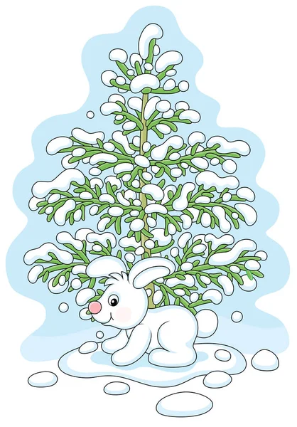 在寒冷的冬季森林里 一只小白兔坐在一棵雪白的绿色冷杉树下 在白色的背景上孤立地看到了病媒卡通画 — 图库矢量图片