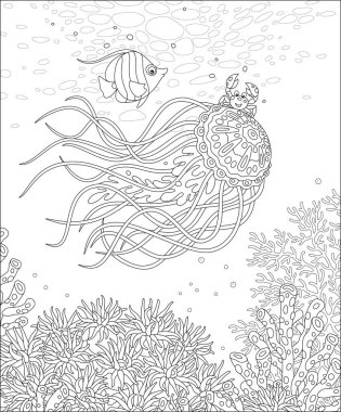Fancy jellyfish with long stinging tentacles, a funny small crab and a striped butterfly fish traveling around a coral reef in a tropical sea, black and white outline vector cartoon illustration