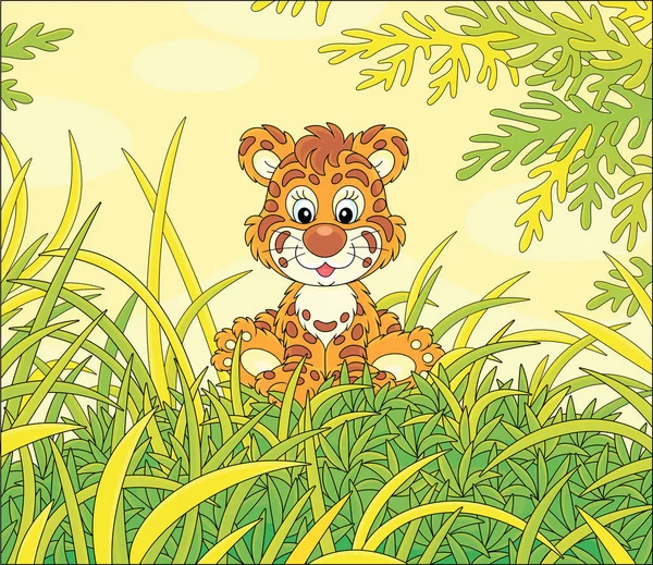 Friendly Smiling Cute Baby Tiger Sitting Green Grass Pretty Forest — Stock Vector