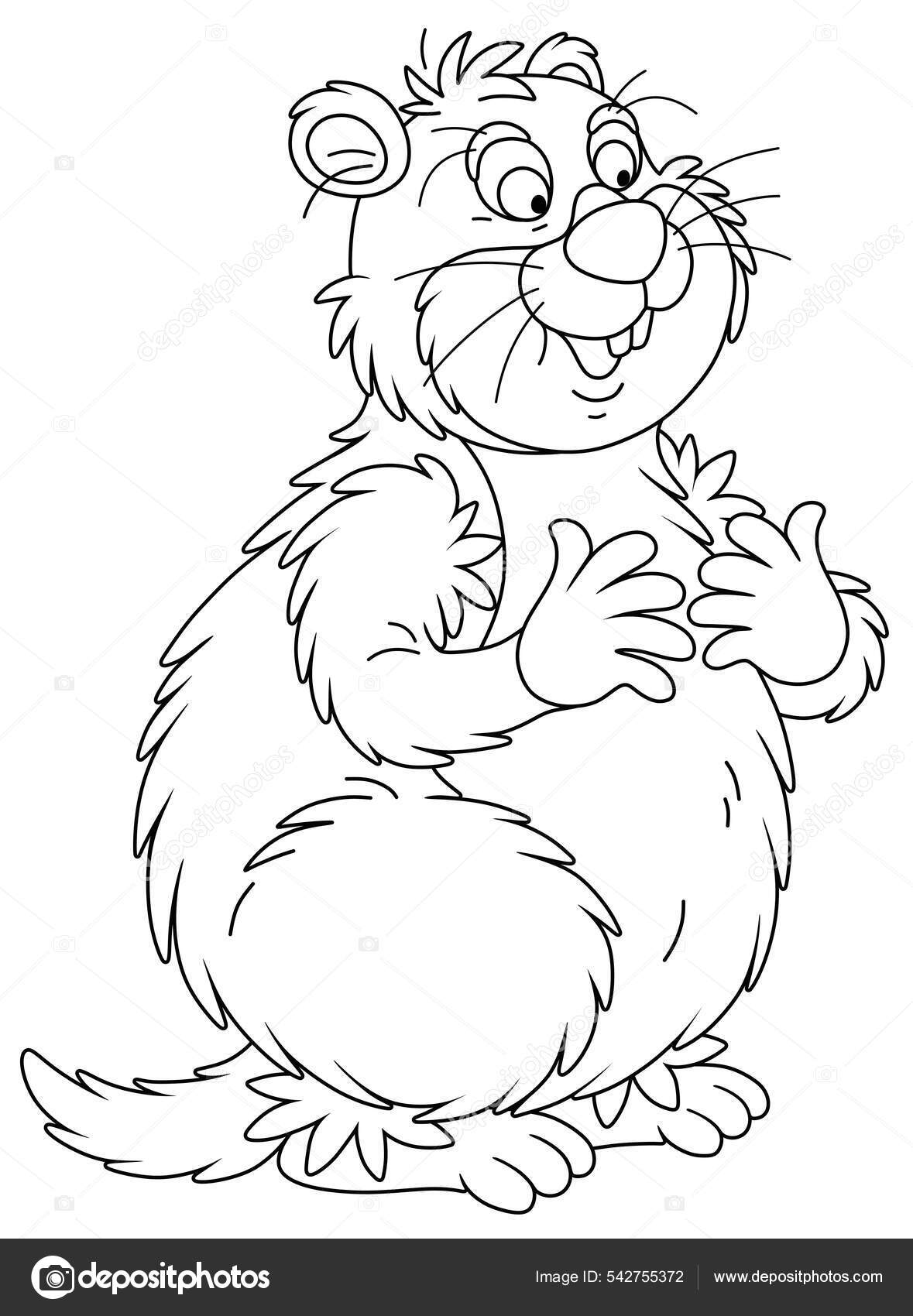 Image vectorielle Marmotte Grasse Drôle Avec Joues Potelées Debout Sur Les  Pattes par ©AlexBannykh - 542755372, image size:1179x1700