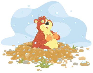 Funny fat groundhog with chubby cheeks looking out of its burrow on a cold winter day, vector cartoon illustration isolated on a white background clipart