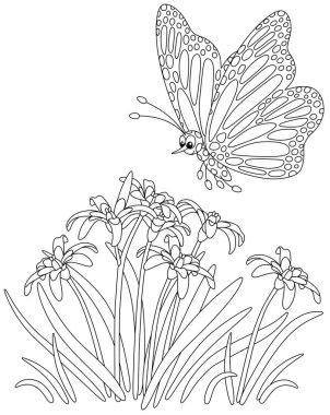 Spotted butterfly Danaid Monarch flying over beautiful wildflowers on a field, black and white outline vector cartoon illustration for a coloring book page clipart