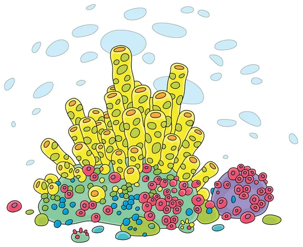 Coraux Exotiques Colorés Sur Récif Sous Marin Dans Une Mer Graphismes Vectoriels