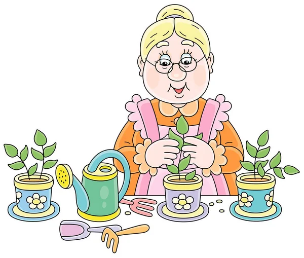 野菜の庭に植える前にポットで苗を扱うおばあちゃん 白い背景に隔離されたベクトル漫画のイラスト — ストックベクタ