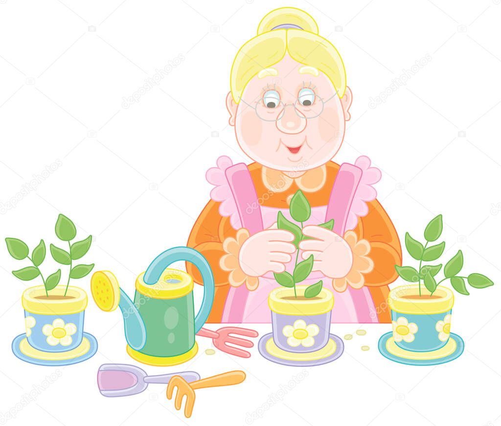 Granny fiddling with seedlings in pots before planting in a vegetable garden, vector cartoon illustration isolated on a white background