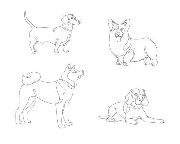 Cães Ilustração Vetorial Linear Corgi Dachshund Beagle Husky — Vetor de Stock