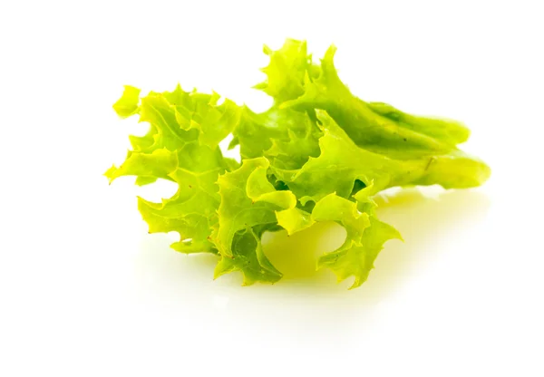 Lettuce on a white background — Stock Photo, Image