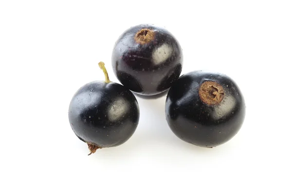 Black currants isolated on white — Stock Photo, Image