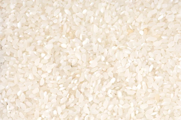 Rice background — Stock Photo, Image