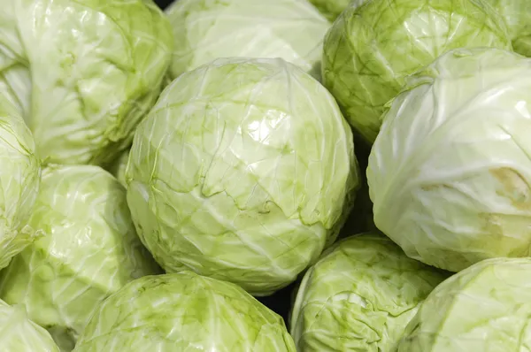 Cabbage background — Stock Photo, Image