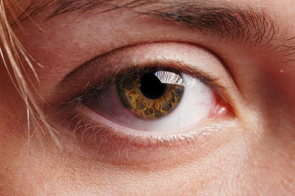 Close-up dos olhos — Fotografia de Stock