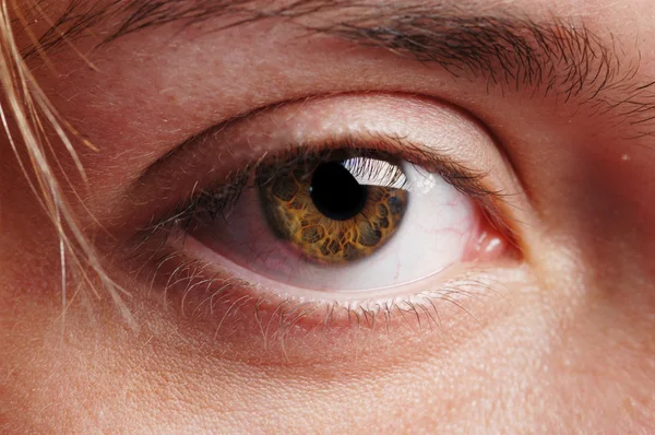 Close-up of eye — Stock Photo, Image