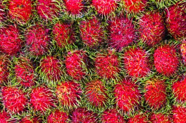 Rambutan arka plan