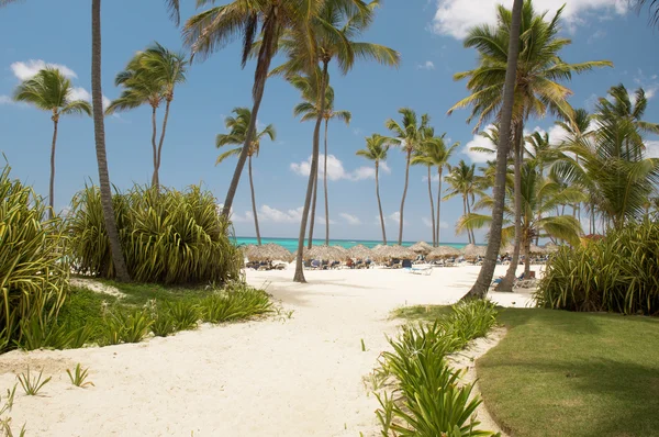 Sea beach — Stock Photo, Image