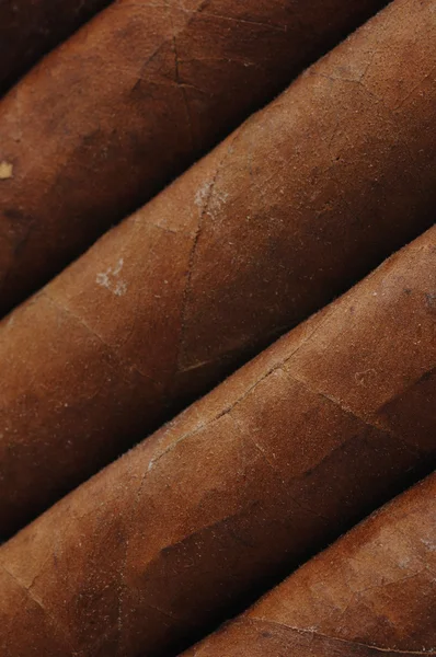 Cigars background — Stock Photo, Image