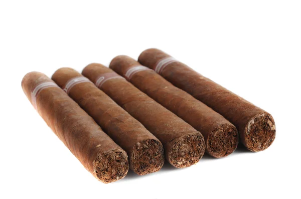 Cigars isolated — Stock Photo, Image