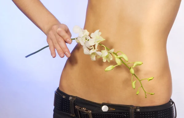 Orquídea na barriga: conceito fino — Fotografia de Stock