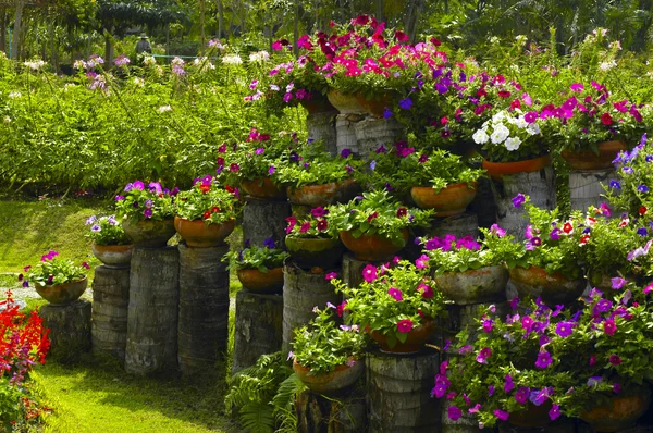 Цветочный парк — стоковое фото