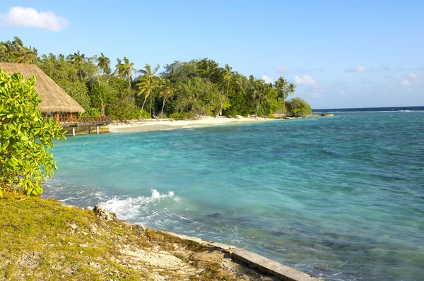 Maldive island — Stock Photo, Image