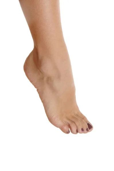 足の美容ケア コンセプト — ストック写真