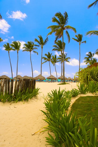 Sea beach — Stock Photo, Image