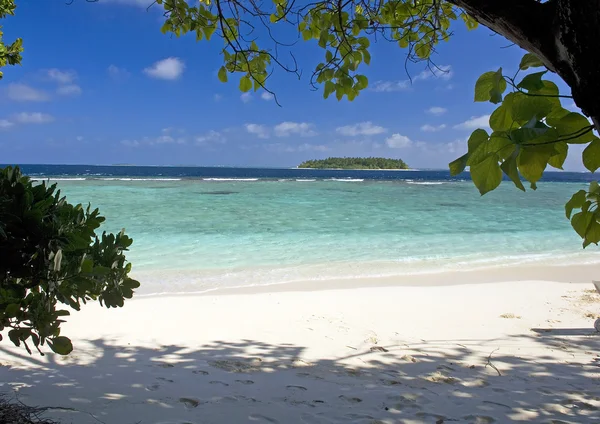 Maldive island — Stock Photo, Image