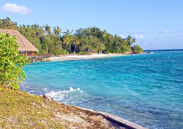 Maldive island — Stock Photo, Image