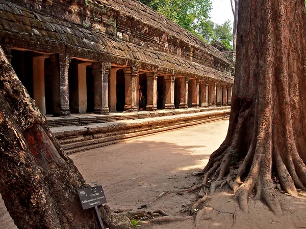 Angkor wat σε siem συγκεντρώνει, Καμπότζη. — Φωτογραφία Αρχείου