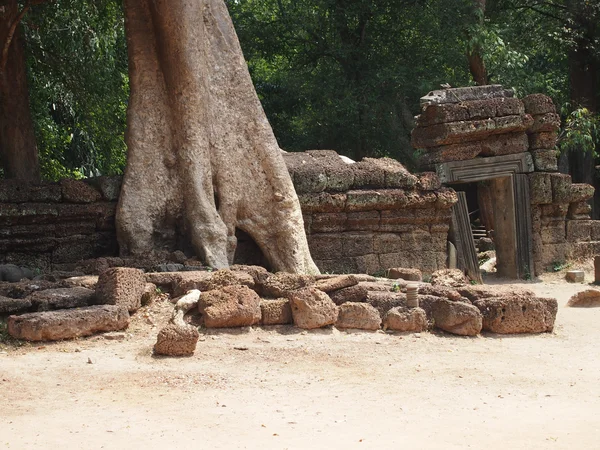 Angkor wat v siem reap, Kambodža. — Stock fotografie