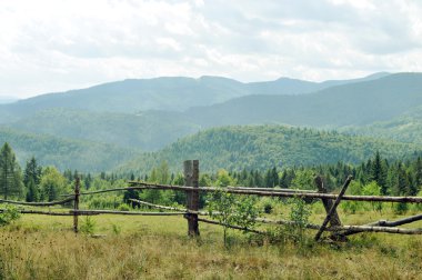 Ukrayna güzel yeşil dağlar