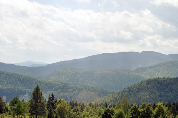 Mooie groene bergen in Oekraïne — Stockfoto