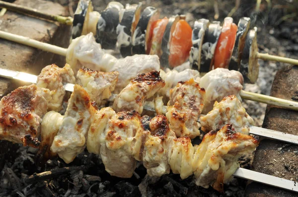 Gustoso Shashlik — Foto Stock