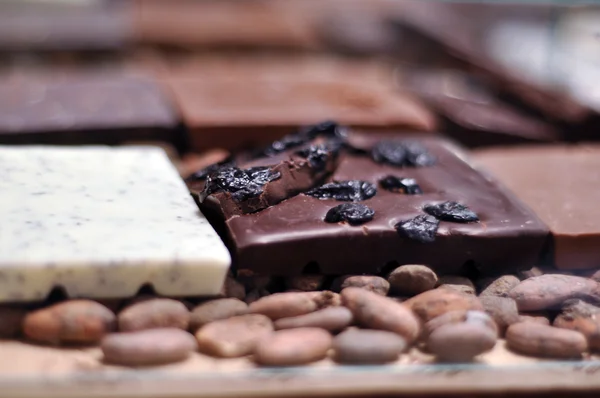 Chocolate hecho a mano de lujo Imágenes de stock libres de derechos